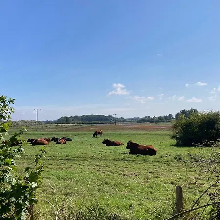 Lejlighed Bades Huk Haus 13 55 - Eg Hohen Wieschendorf